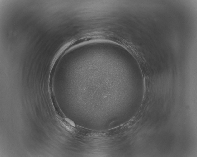 X0000052930147200507151626