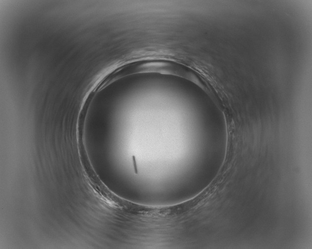 X0000052930148200507151626