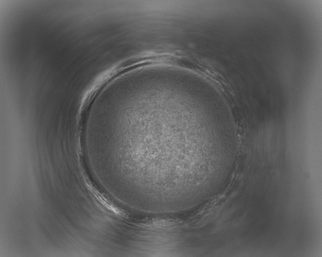 X0000052930149200507151626