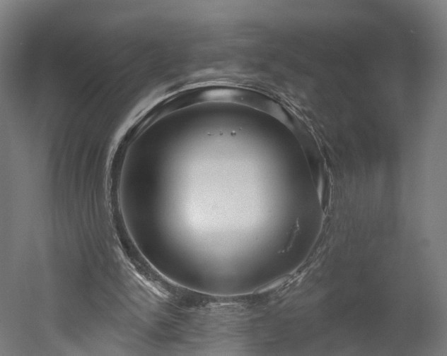 X0000052930150200507151626