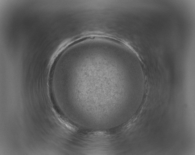 X0000052930151200507151626