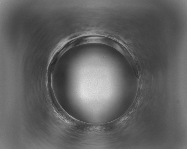 X0000052930152200507151626