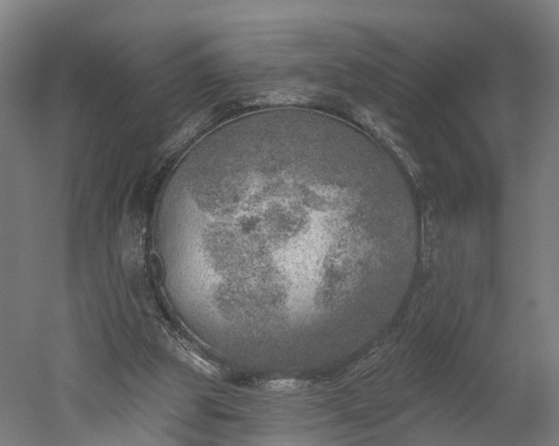 X0000052930153200507151626