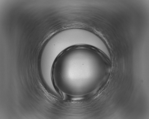 X0000052930154200507151626