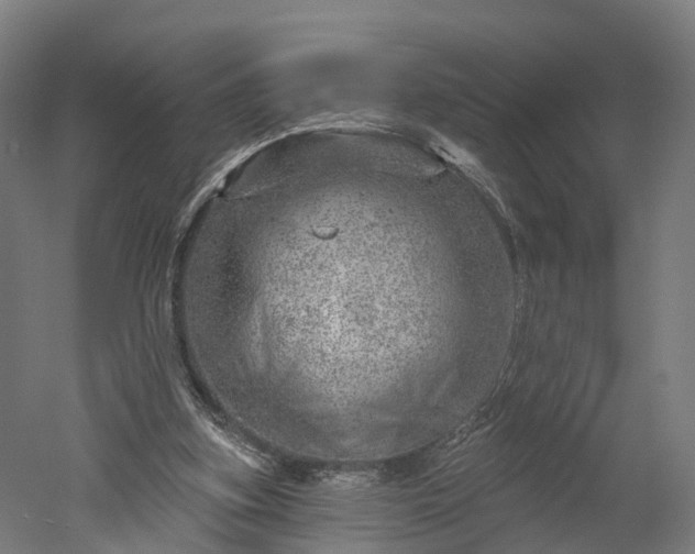 X0000052930155200507151626