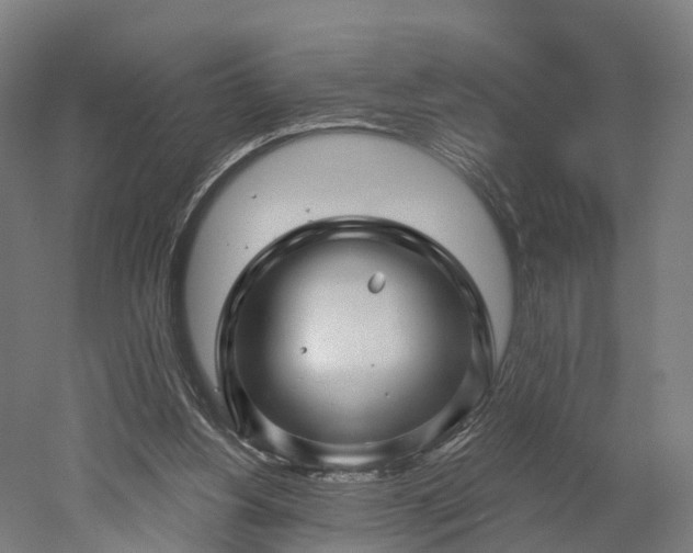 X0000052930156200507151626