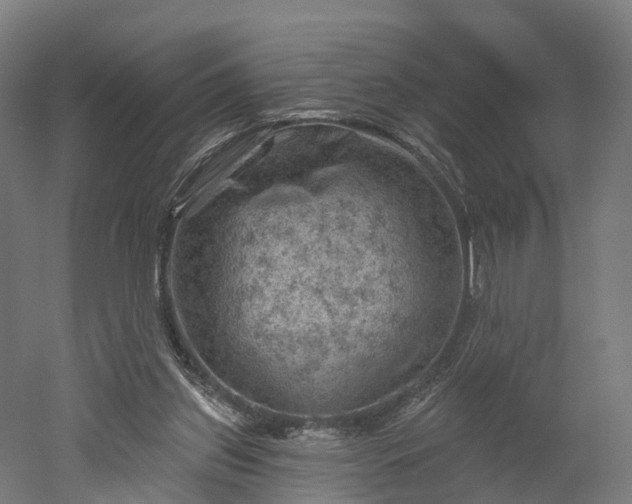 X0000052930157200507151626