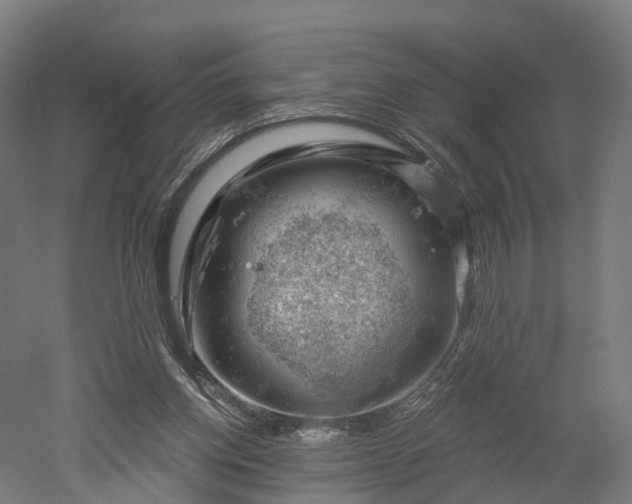 X0000052930158200507151626