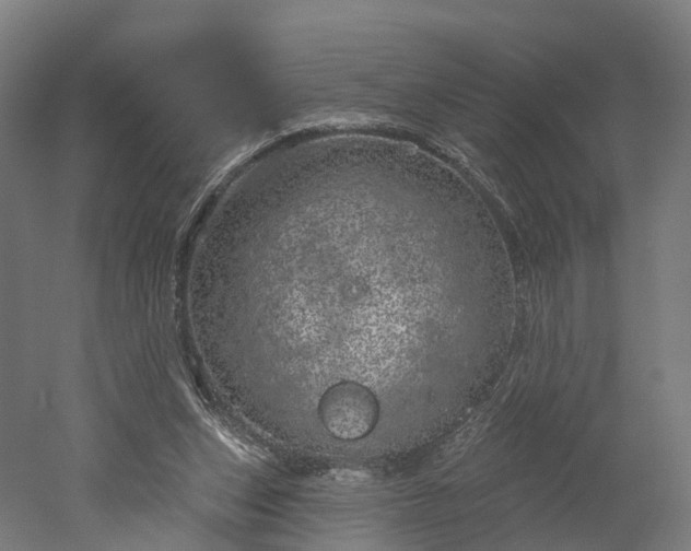 X0000052930159200507151626