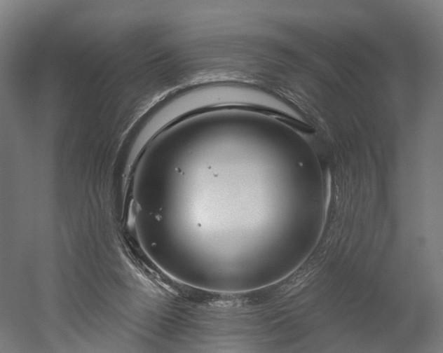 X0000052930160200507151626