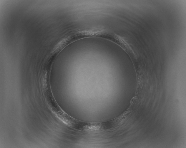 X0000052930163200507151626