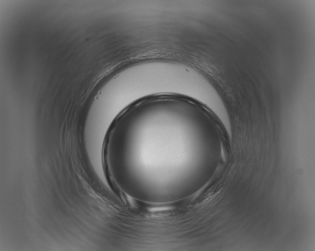 X0000052930164200507151626