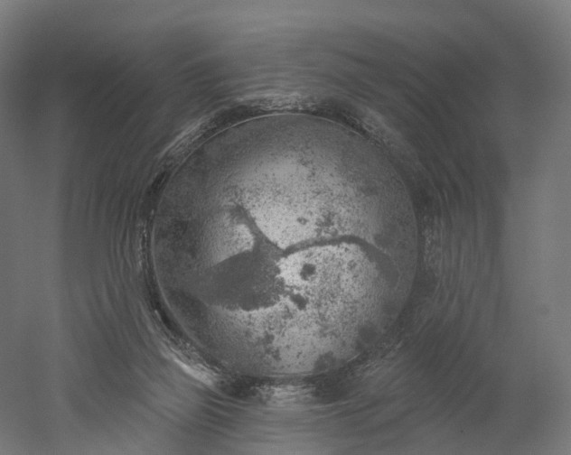 X0000052930165200507151626