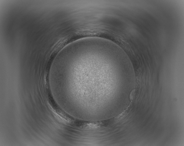 X0000052930166200507151626