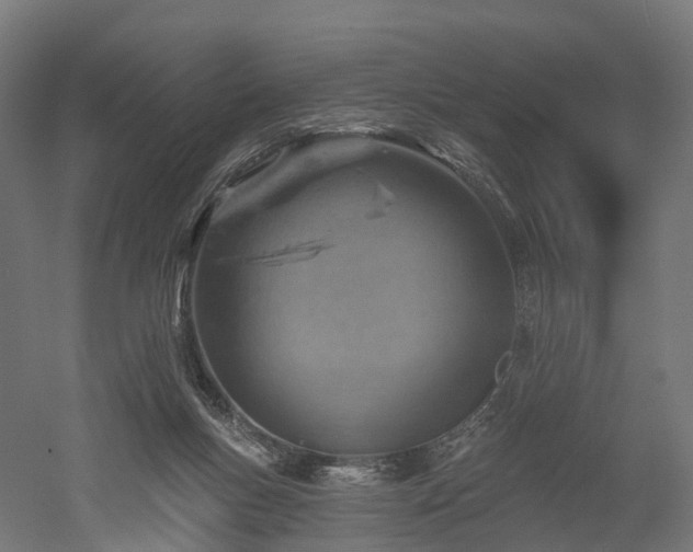 X0000052930167200507151626