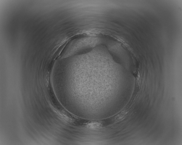 X0000052930168200507151626