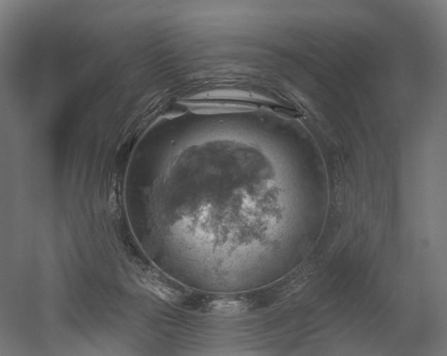 X0000052930169200507151626