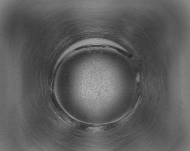 X0000052930170200507151626