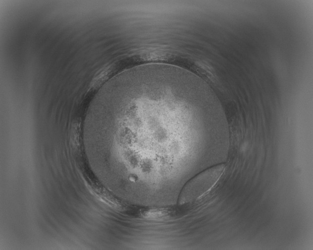 X0000052930171200507151626