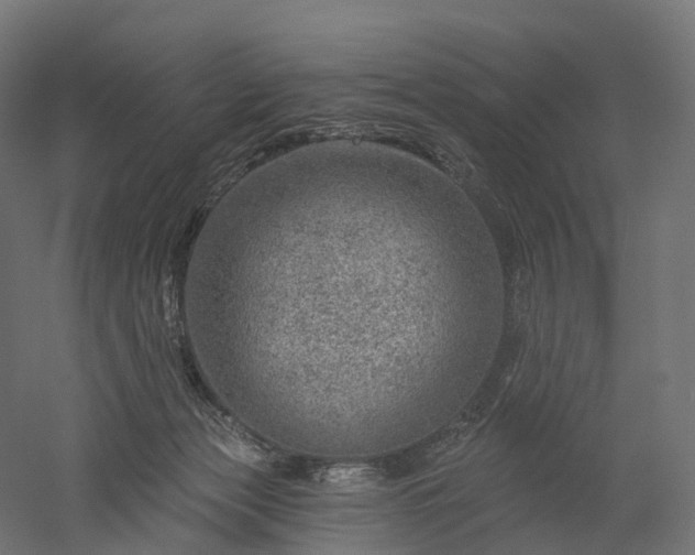 X0000052930173200507151626