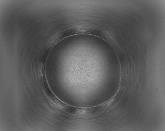 X0000052930174200507151626