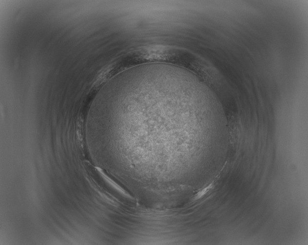 X0000052930175200507151626