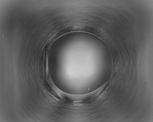 X0000052930176200507151626