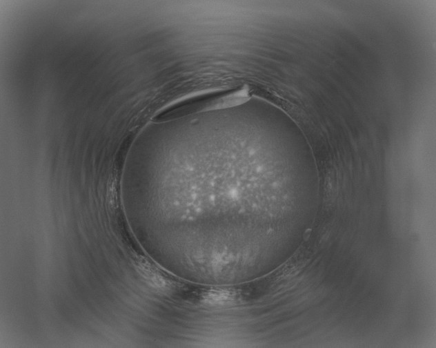 X0000052930177200507151626