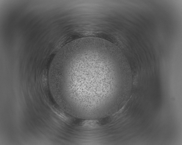 X0000052930179200507151626