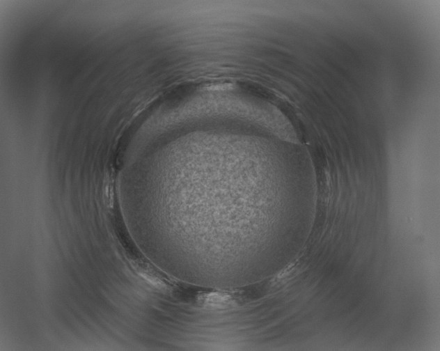 X0000052930180200507151626