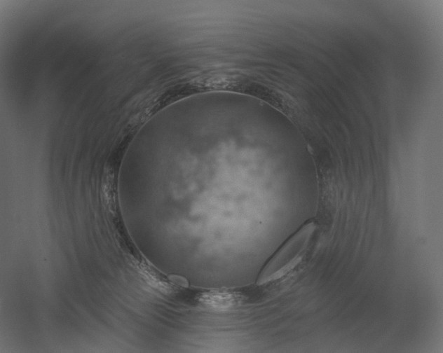 X0000052930181200507151626