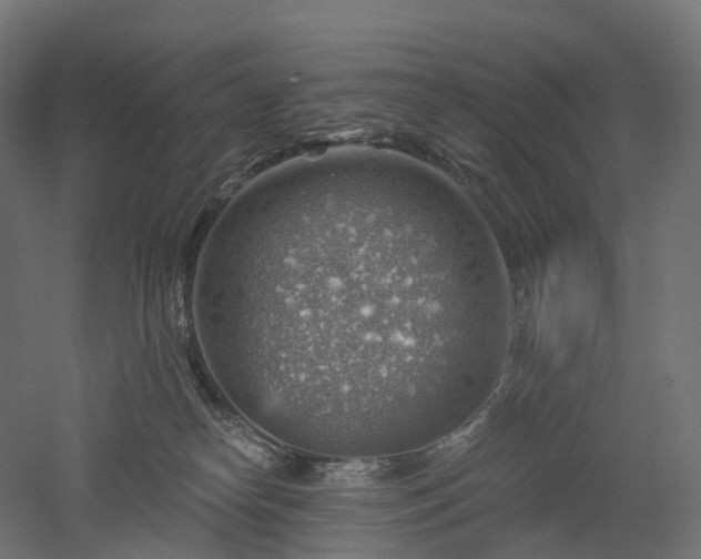 X0000052930182200507151626