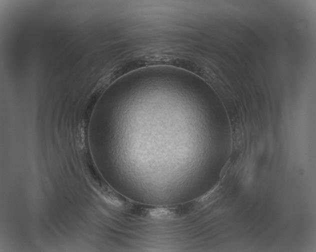 X0000052930183200507151626