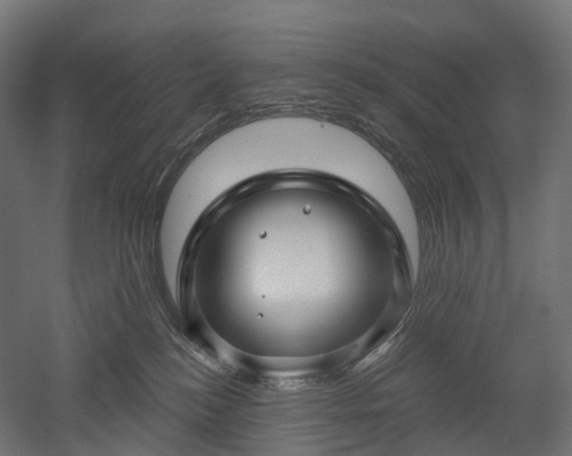 X0000052930184200507151626