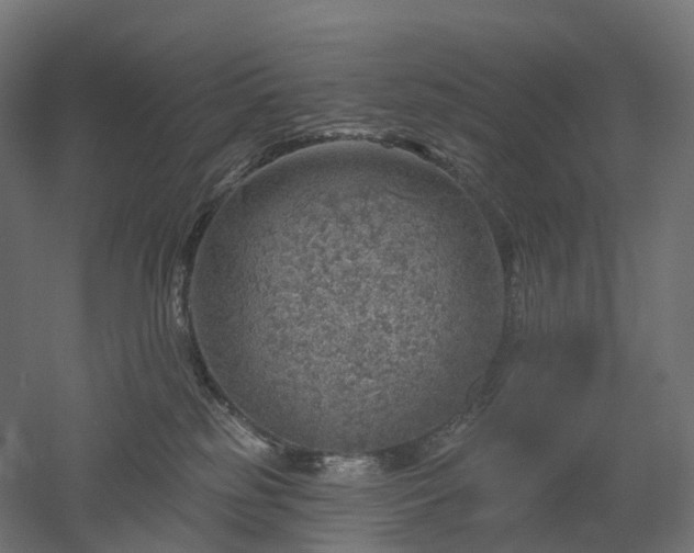 X0000052930185200507151626