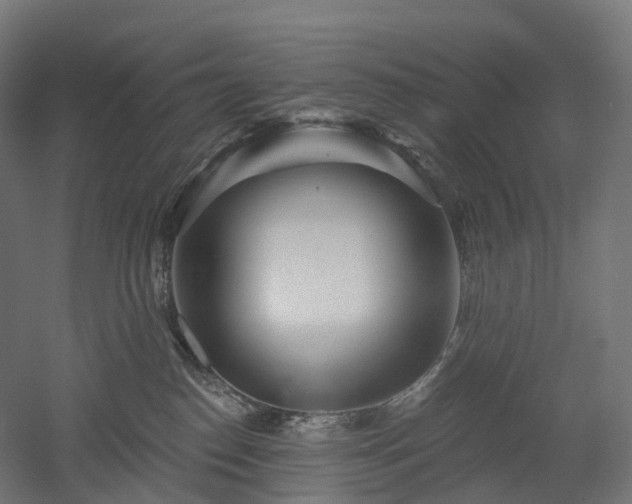 X0000052930186200507151626