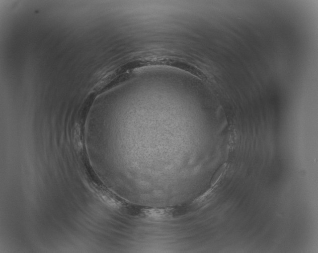 X0000052930187200507151626