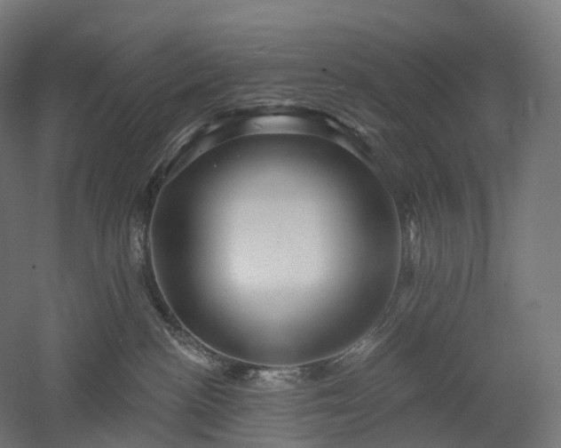 X0000052930188200507151626