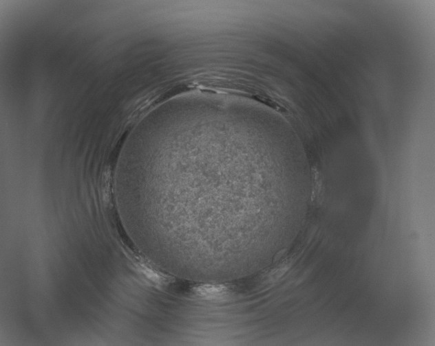 X0000052930189200507151626