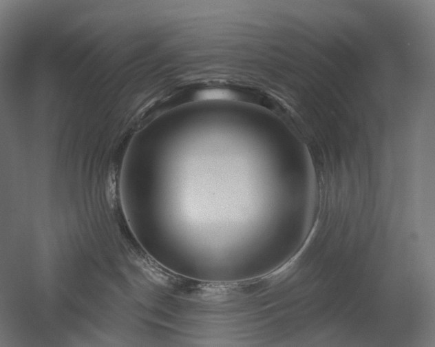 X0000052930190200507151626