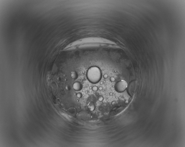 X0000052930191200507151626