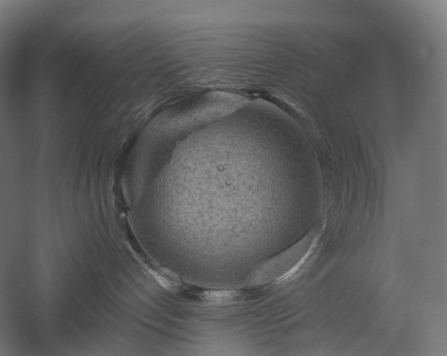 X0000052930192200507151626