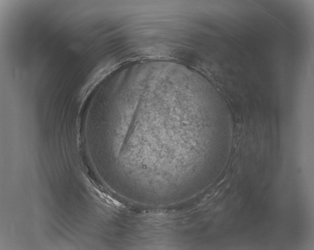 X0000052930194200507151626