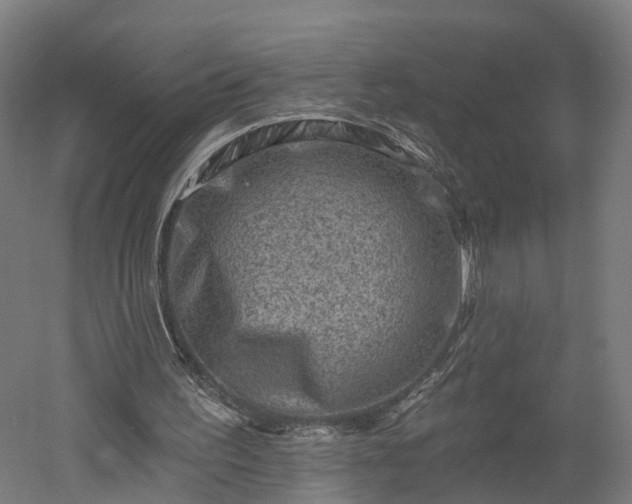 X0000052930195200507151626