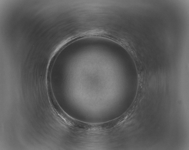 X0000052930196200507151626