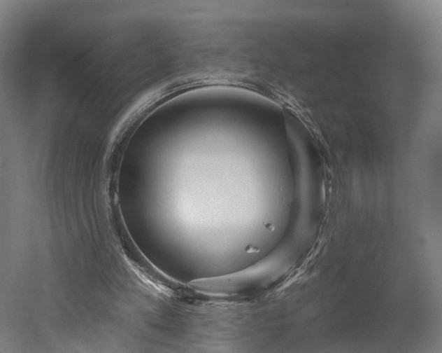 X0000052930197200507151626