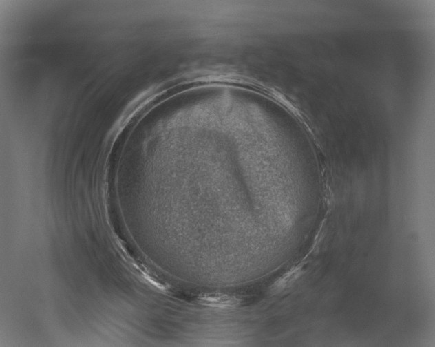 X0000052930199200507151626