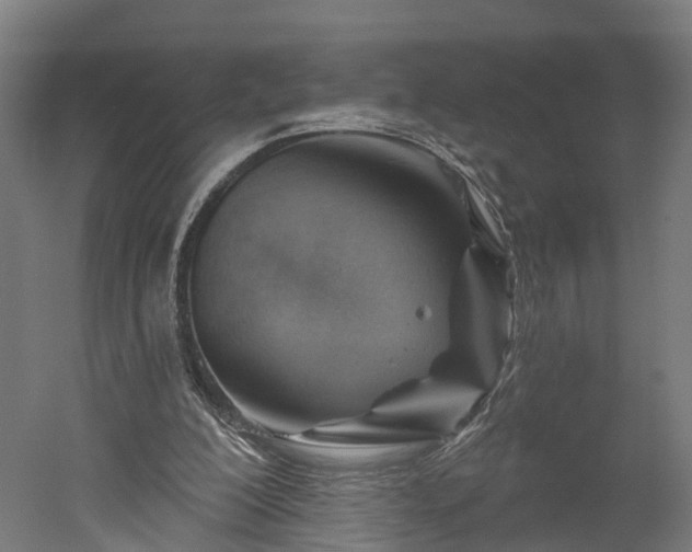 X0000052930200200507151625