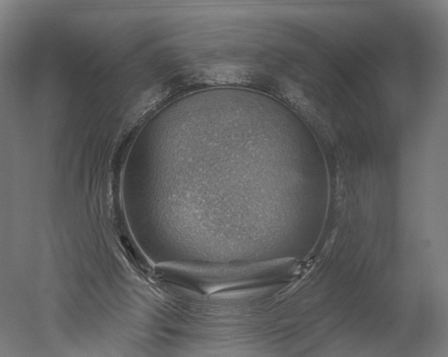 X0000052930202200507151625