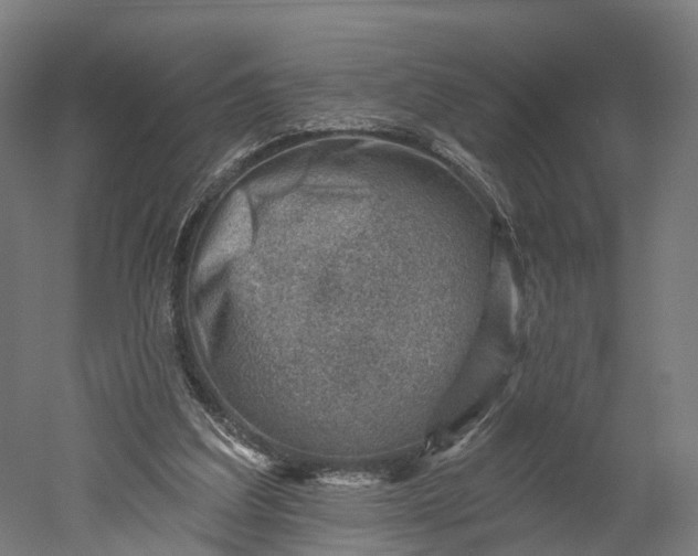 X0000052930203200507151625